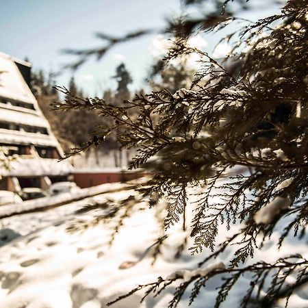 Moura Boutique Hotel By Asteri Hotels Borovets Extérieur photo