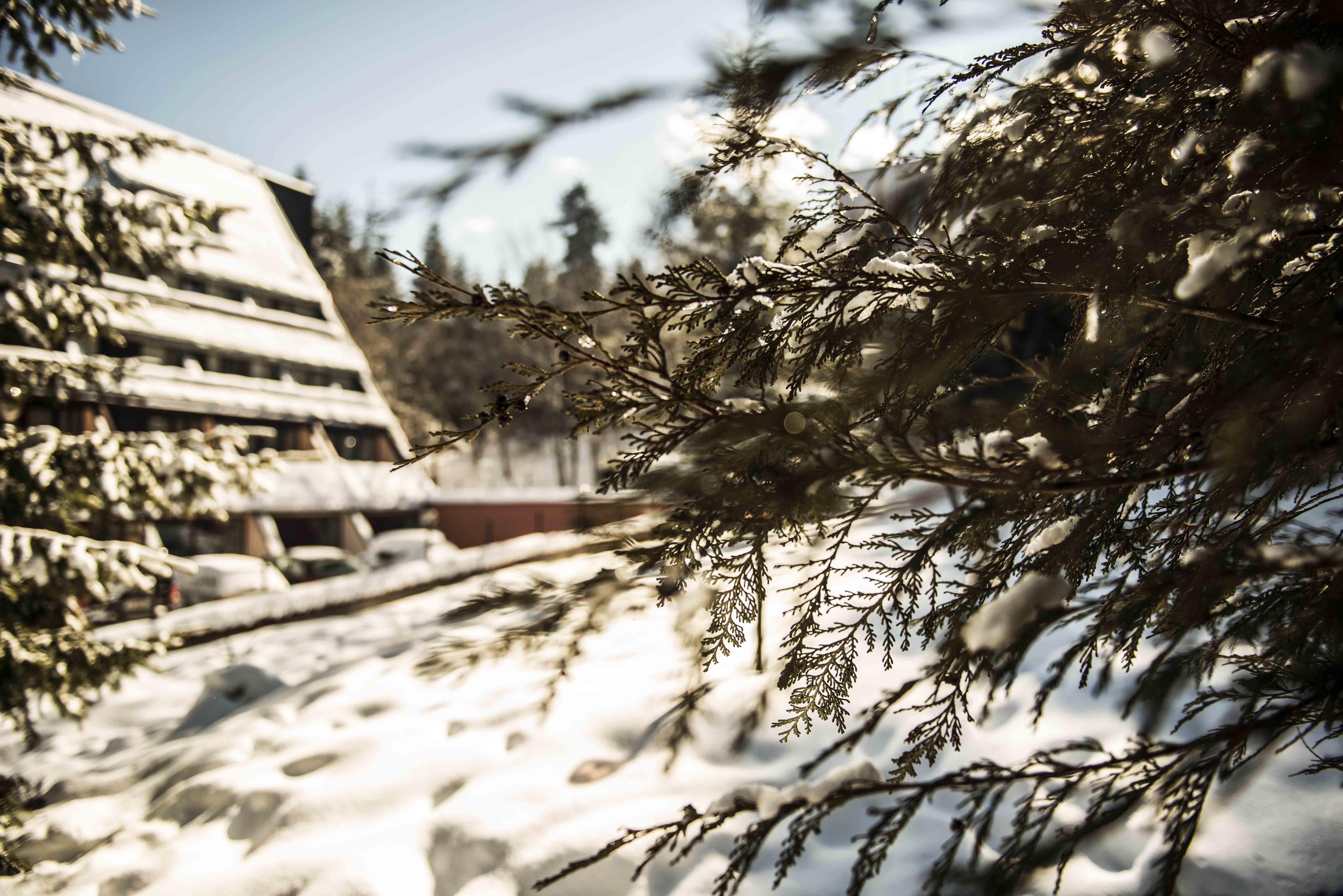Moura Boutique Hotel By Asteri Hotels Borovets Extérieur photo